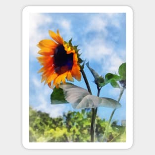 Sunflower Against the Sky Sticker